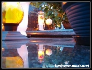 *(fot. tm)